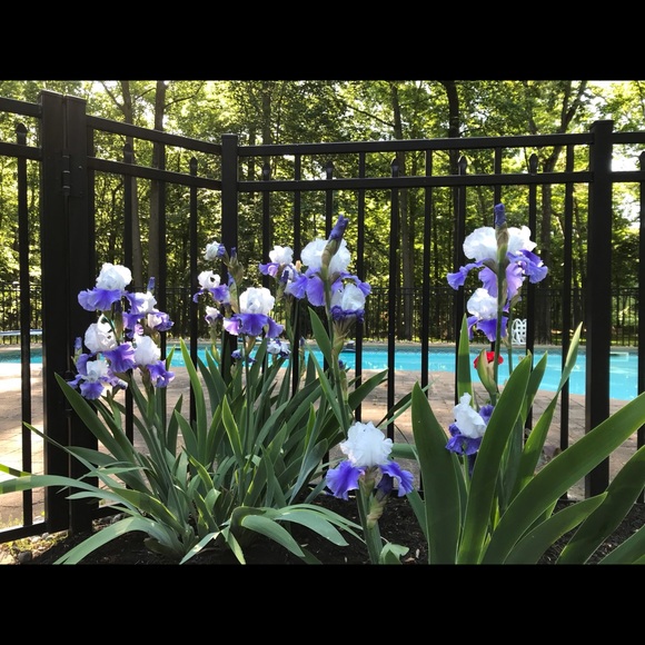 Hi, I am Tatyana. Thank you for stopping by. - Picture 7 of 11